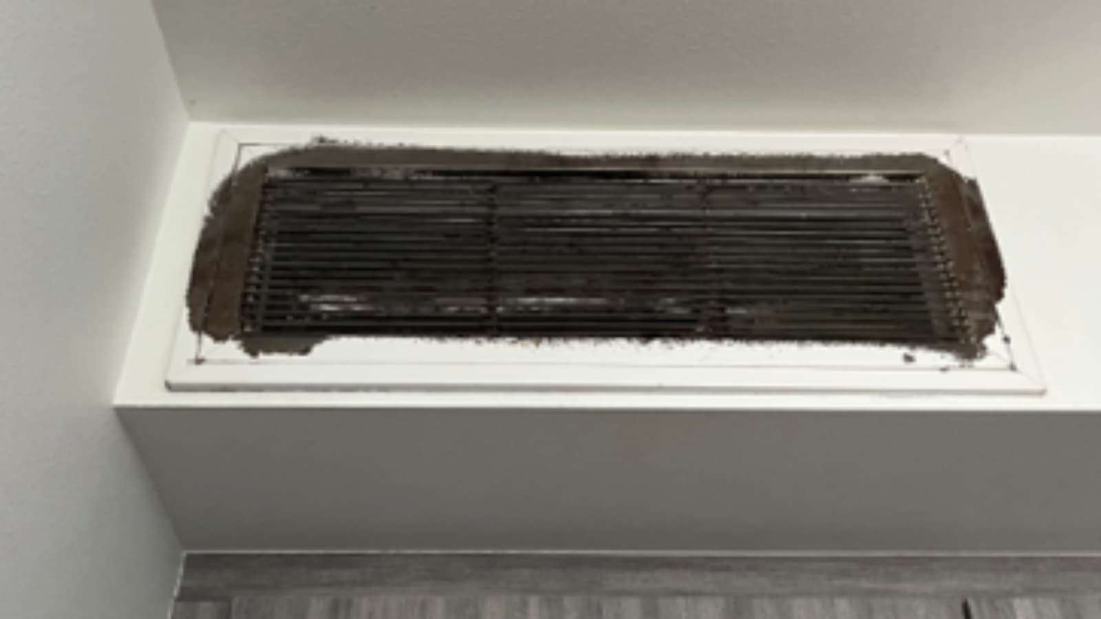 Harbour residents believe mold led to illness