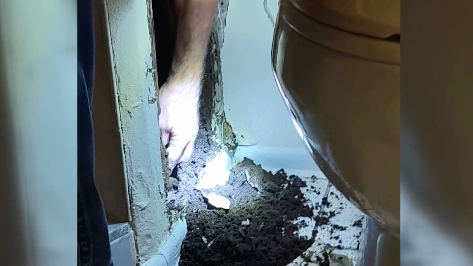 Englewood father dies after being exposed to toxic mold from Hurricane Ian