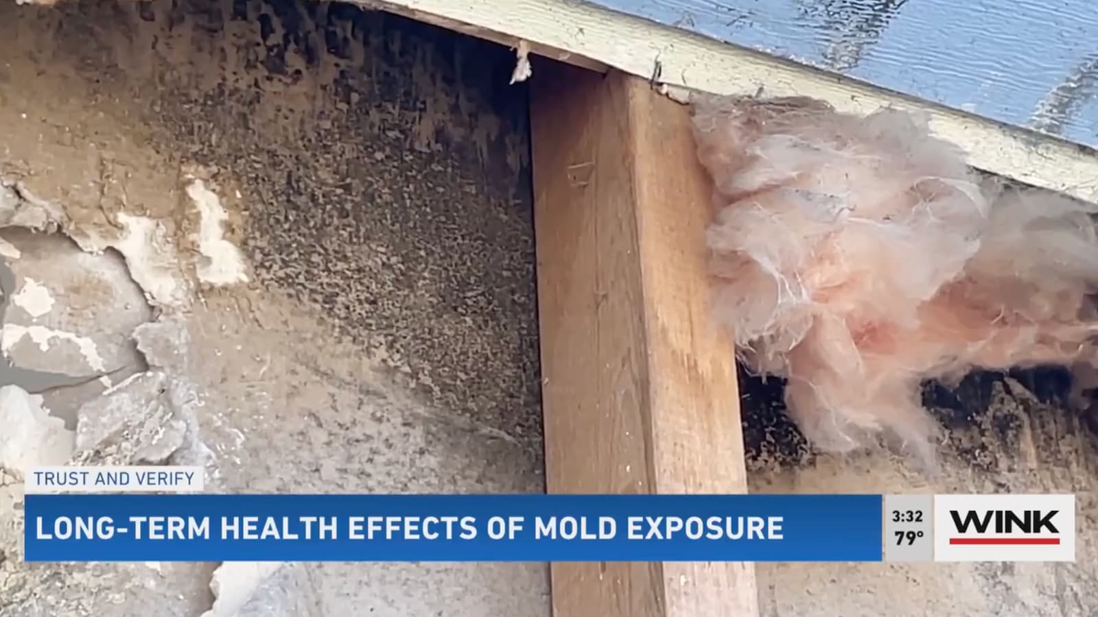 Hurricane Ian leaves Southwest Florida homes with mold
