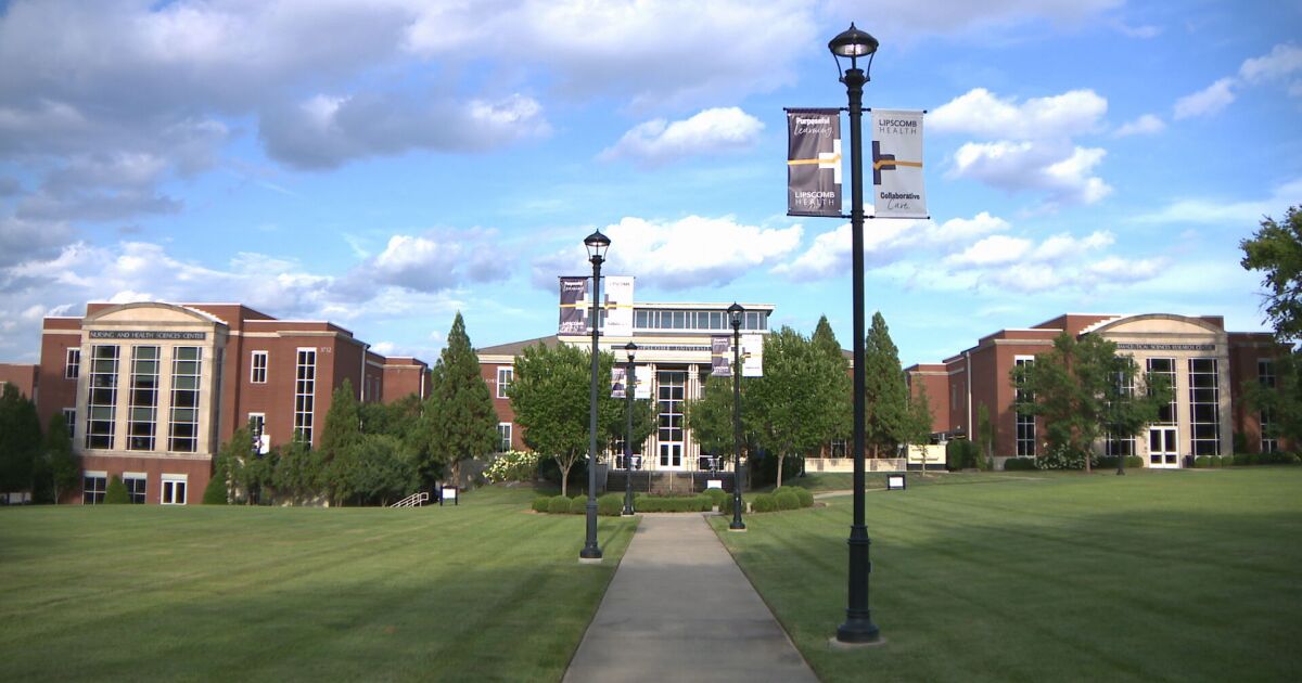 Lipscomb University Sued by 11 Students Allegedly Made Sick by Black Mold in Dorms
